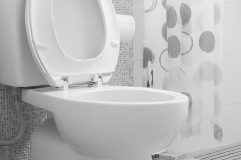 A toilet in a Salem, OR home
